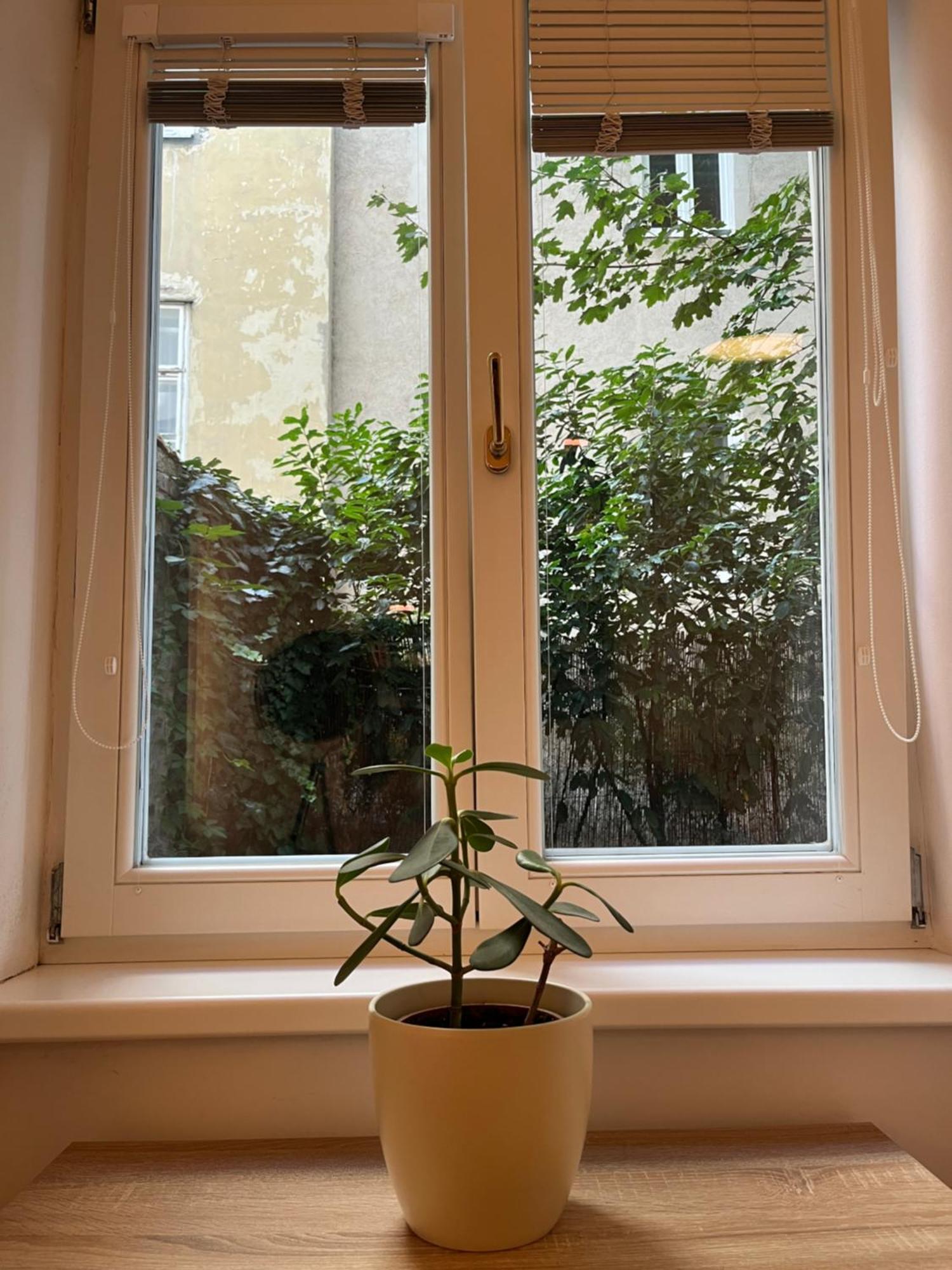 Quiet Apartment Next To Belvedere & Central Station Виена Екстериор снимка